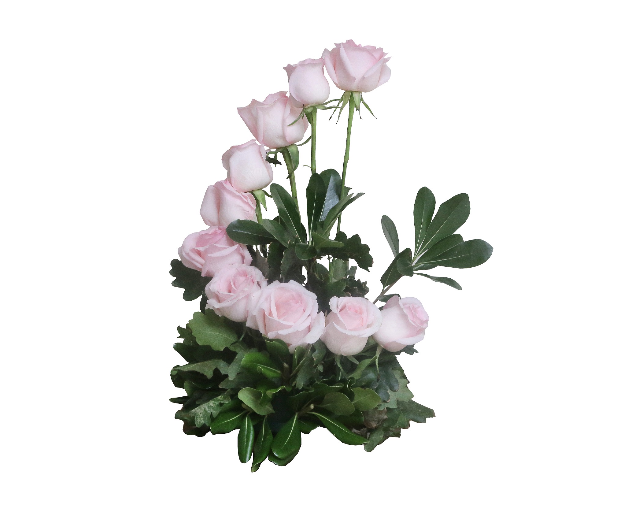Bouquet N° 13 Rosas