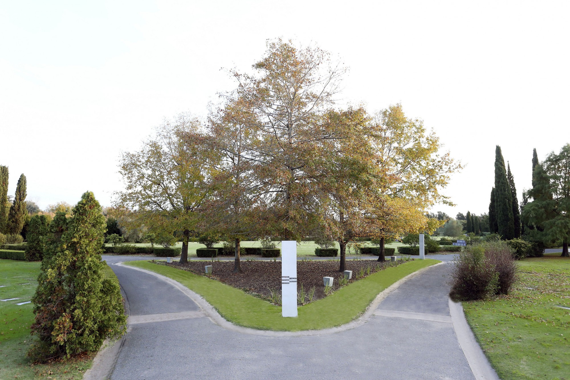 Espacio de cenizas Ecológico Memorial