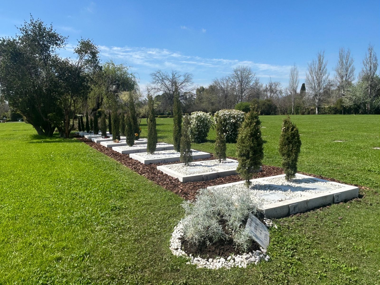Espacio Árbol de vida JDP