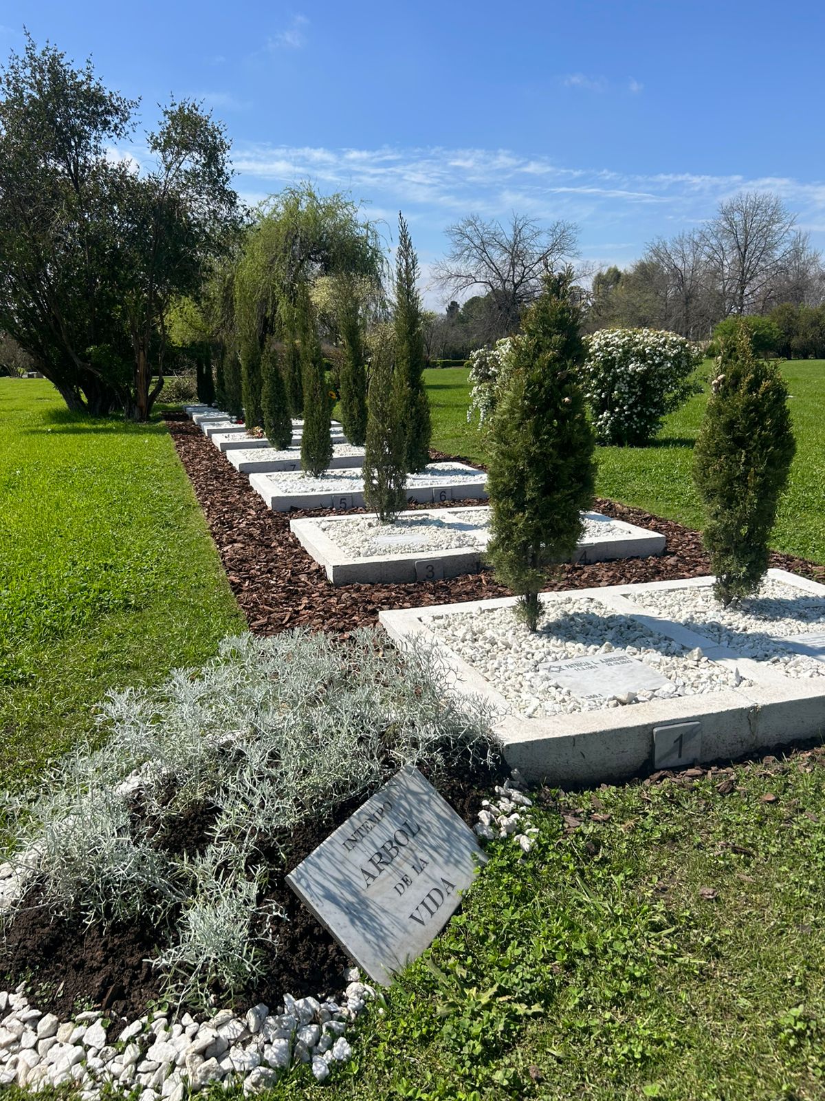 Espacio Árbol de vida JDP