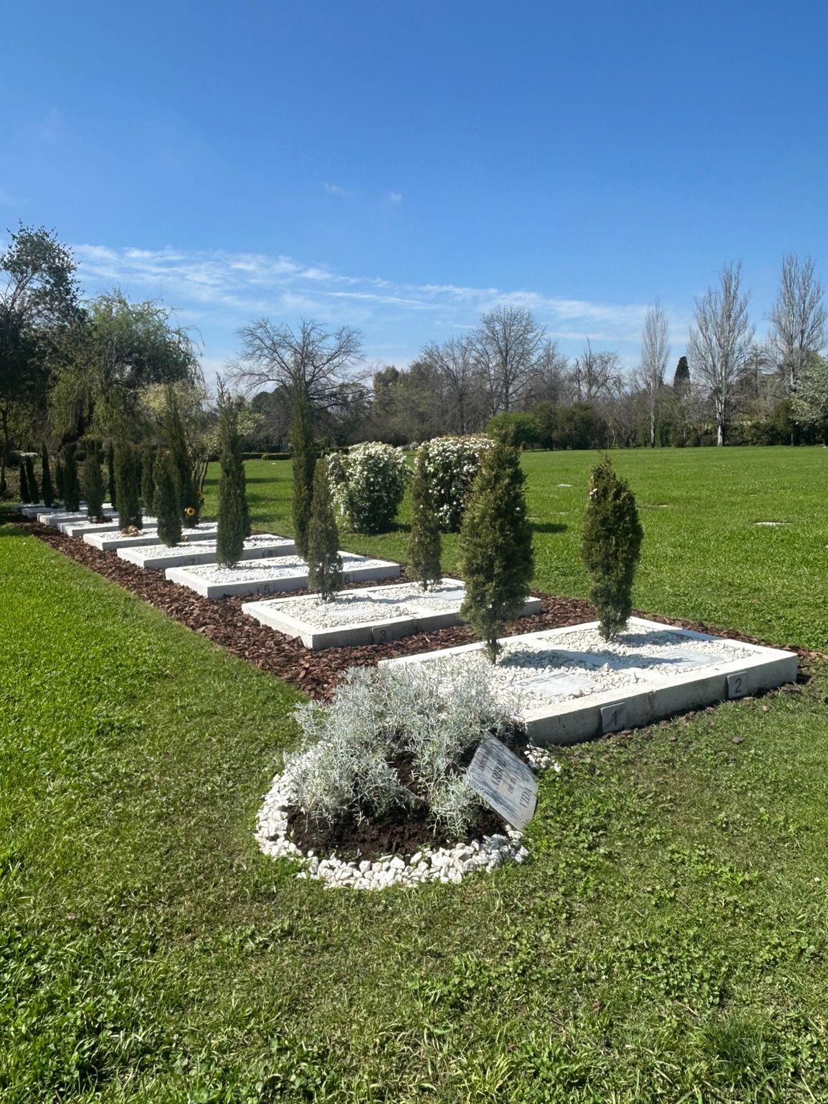 Espacio Árbol de vida JDP
