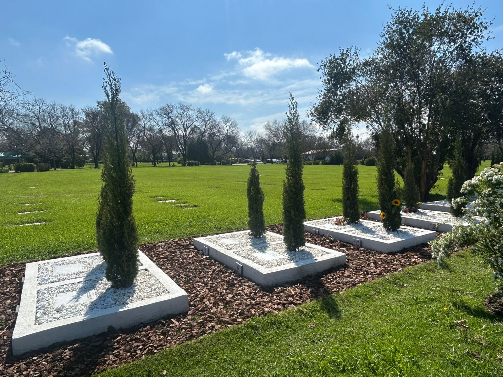 Espacio Árbol de vida JDP