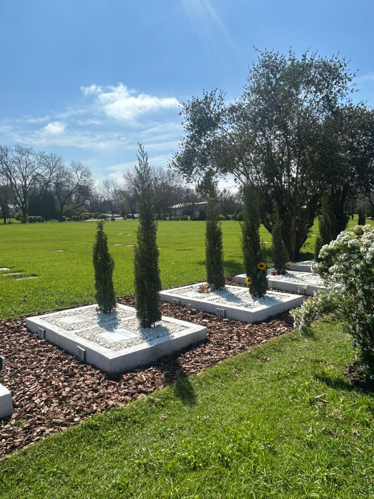 Espacio Árbol de vida JDP
