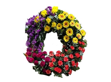 Corona Paleta de colores